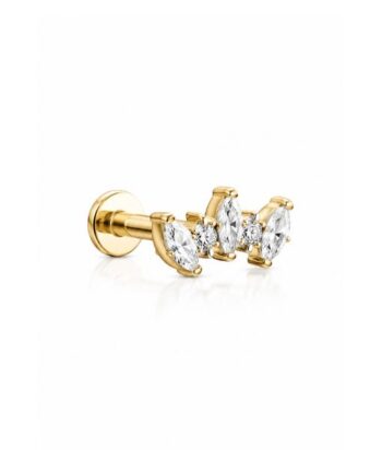 Titanium Golden Laurel Crown Labret