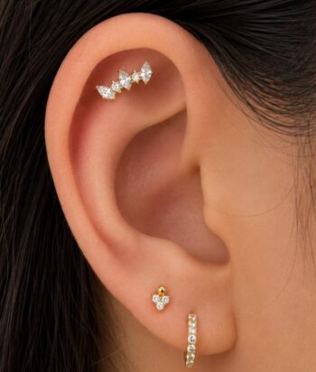 Titanium Golden Laurel Crown Labret