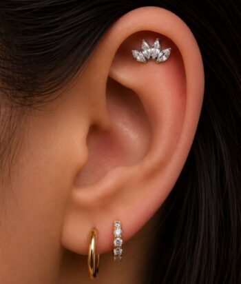 Titanium TIB5 Crown Cluster Labret